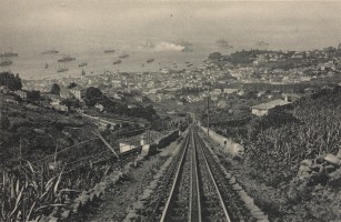 View of Funchal Harbor from the parish of Monte